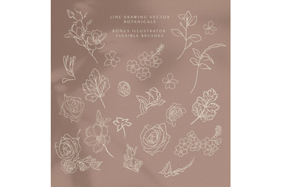 Line Drawing Botanical illustrations. Plants, Wildflowers, Wreath.