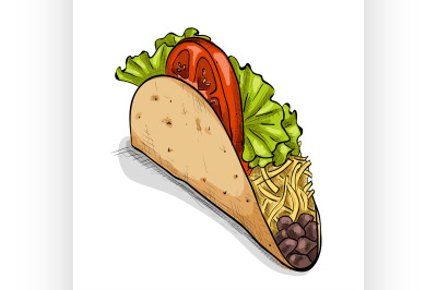 Taco, color picture