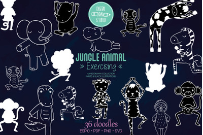 Jungle Animal White | Hand Drawn Exercising Characters