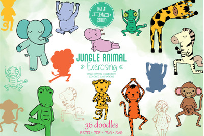 Jungle Animal Color | Hand Drawn Exercising Characters
