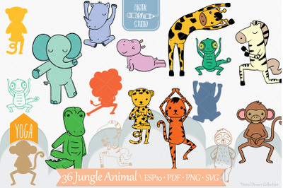 Jungle Animal Color | Hand Drawn Exercising Characters