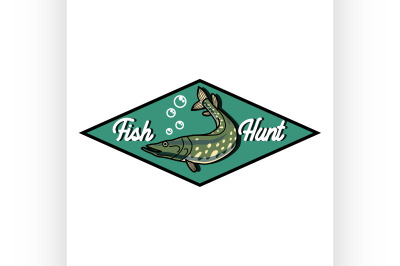 Color vintage fishing emblem