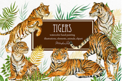Tigers .Clipart Illustrations