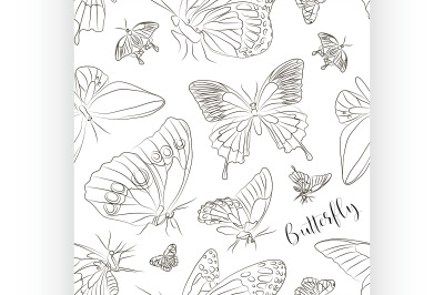 Butterflies set pattern