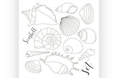 Set of isolated hand drawn seashell icons