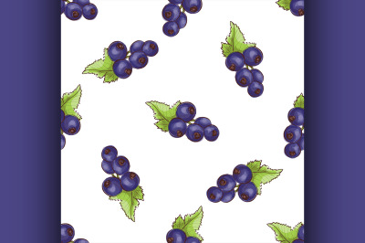 Currants pattern on white background