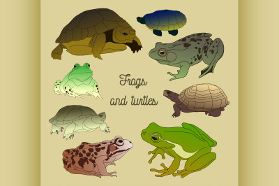 Set with frogs and turtless