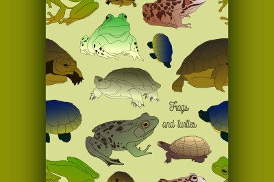 Set with frogs and turtless pattern