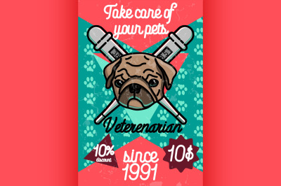 Color vintage veterinarian poster