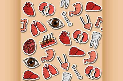 Colored Human organs pattern