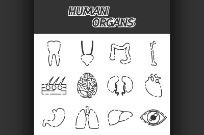 Human organs icons set