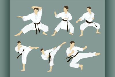 Karate icon set