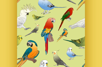 Parrots set pattern