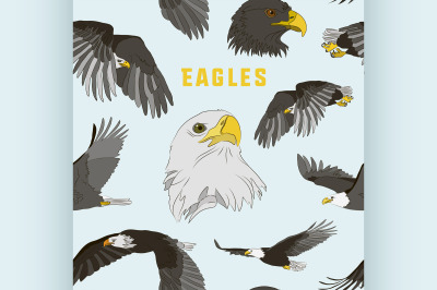 Set of eagles pattern