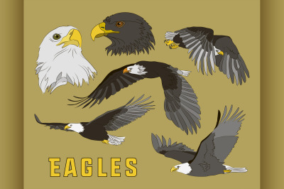 Set of eagles