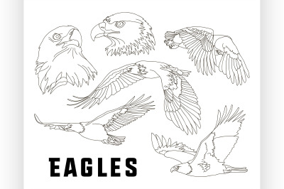 Set of eagles