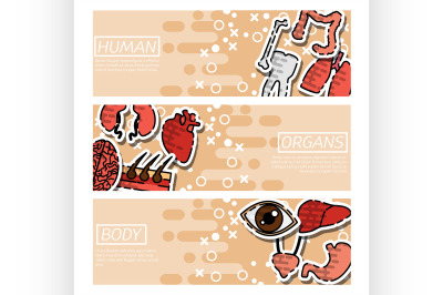 Set of Horizontal Banners about Human organs