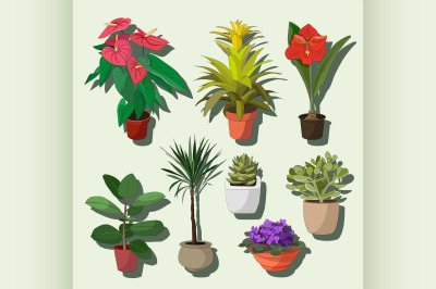 House plants set