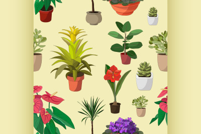 Houseplants set pattern