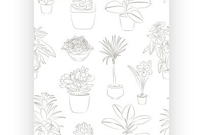 Houseplants set pattern