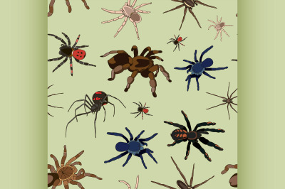 Spiders vector set pattern