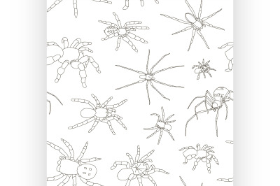 Spiders vector set pattern