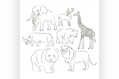 Wild animals set