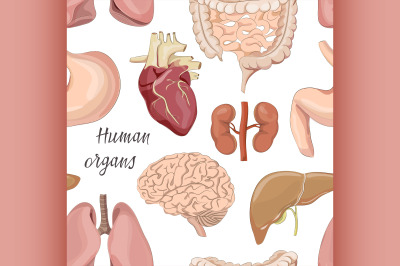 Different human organs set pattern