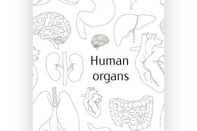 Different human organs set pattern