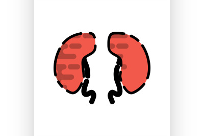 Human organ flat icon