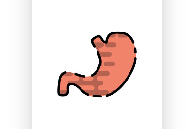 Human organ flat icon