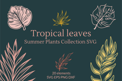 Tropical leaves, summer plants Collection SVG graphics