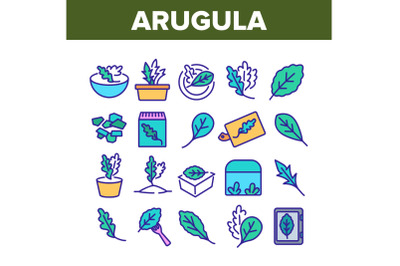 Arugula Or Rucola Collection Icons Set Vector