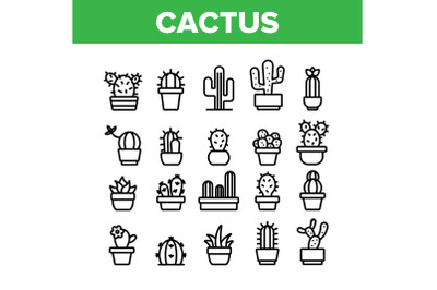 Cactus Domestic Plant Collection Icons Set Vector