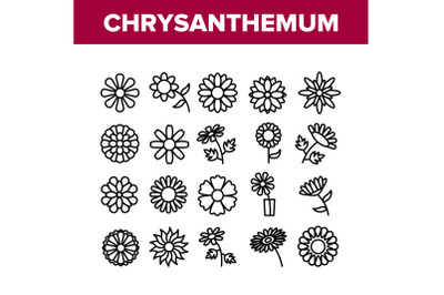 Chrysanthemum Flower Collection Icons Set Vector