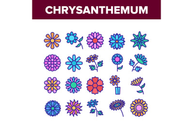 Chrysanthemum Flower Collection Icons Set Vector