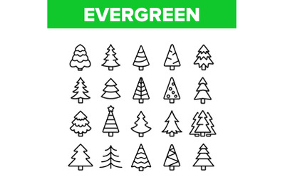 Evergreen Pine Tree Collection Icons Set Vector