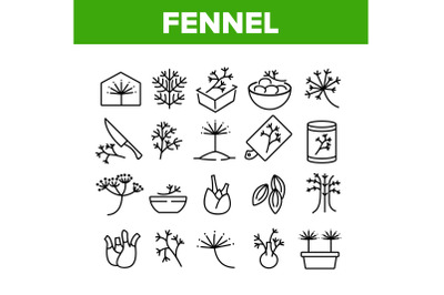 Fennel Flowering Plant Collection Icons Set Vector