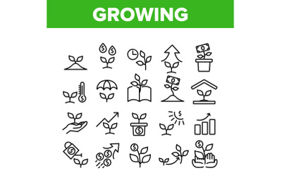 Growing Money Plant Collection Icons Set Vector