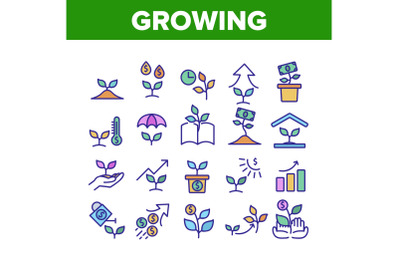 Growing Money Plant Collection Icons Set Vector