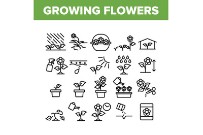 Growing Flowers Plants Collection Icons Set Vector