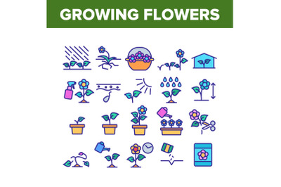 Growing Flowers Plants Collection Icons Set Vector