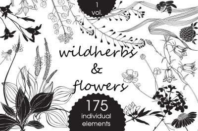 Wildherbs and flowers.