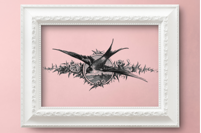 Vintage Swallow, Bird Illustration, Black and White Swallow