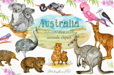 Animals Australia Watercolor