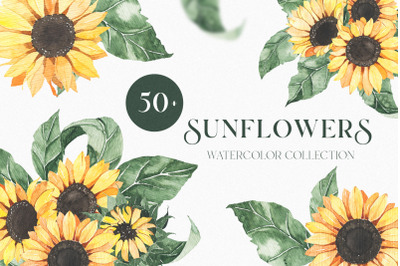 Watercolor Sunflowers collection