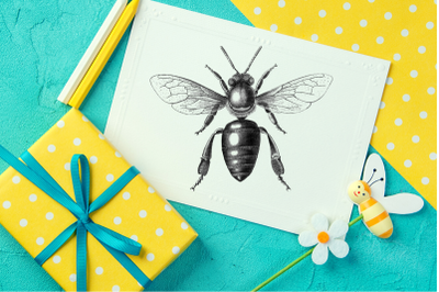 Vintage Black and White Bee Queen, Printable Bee Queen
