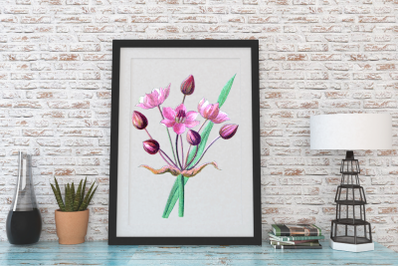 Bouquet of Pink Flowers, Digital Illustration, Pink Flowers