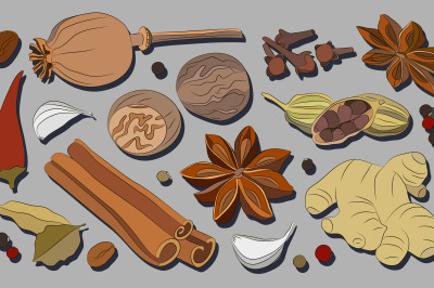 Spices, condiments and herbs decorative elements