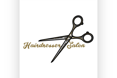 Color vintage hairdresser salon emblem